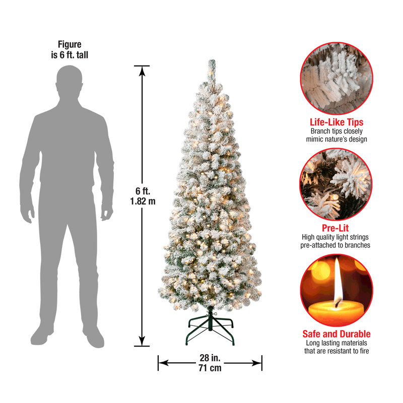 The Holiday Aisle® Lighted Pine Christmas Tree & Reviews Wayfair